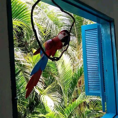 Casa Ilhabela A Cinco Minutos Do Centro Villa Eksteriør billede